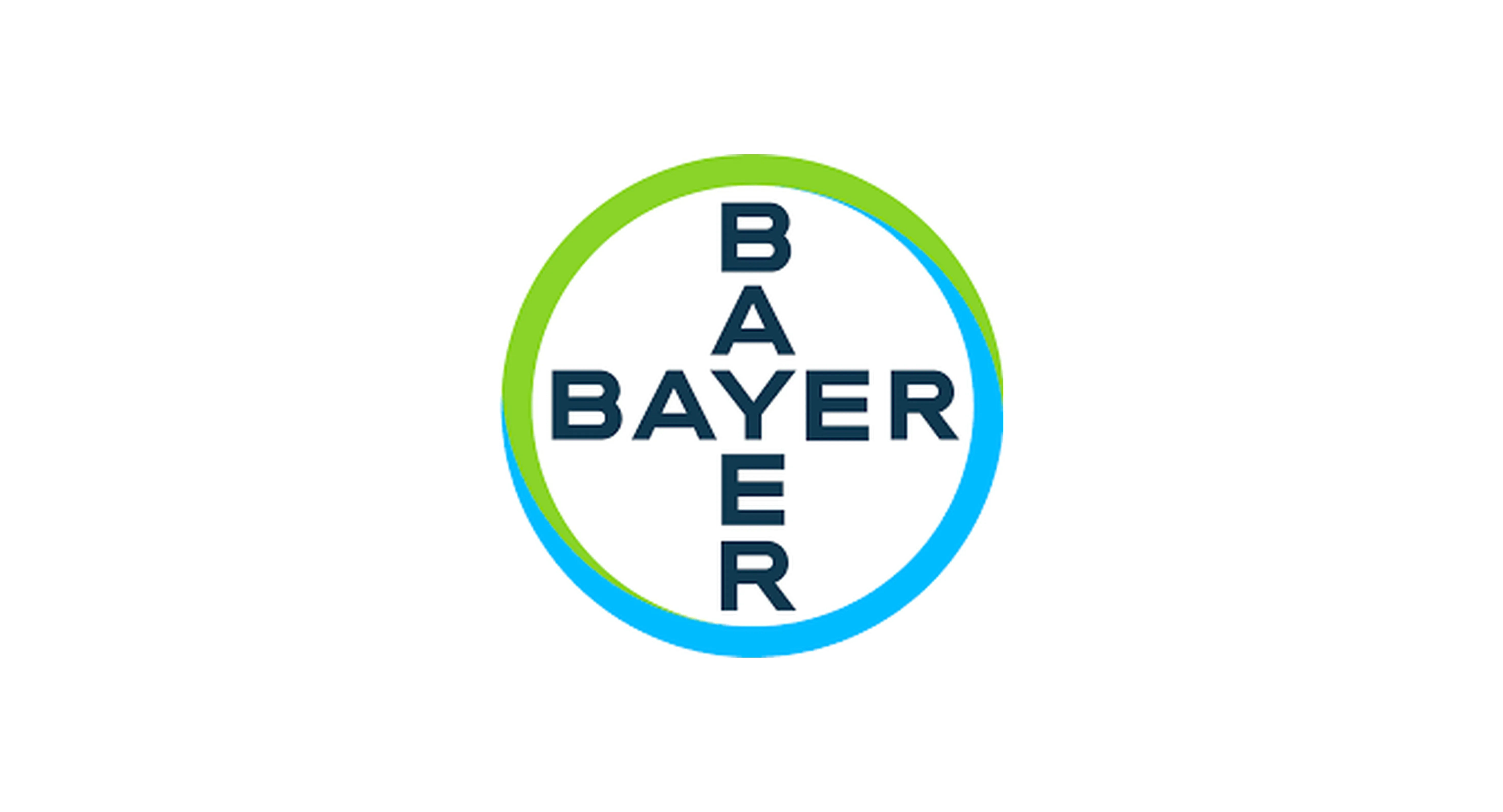 Worldbi Business Partner