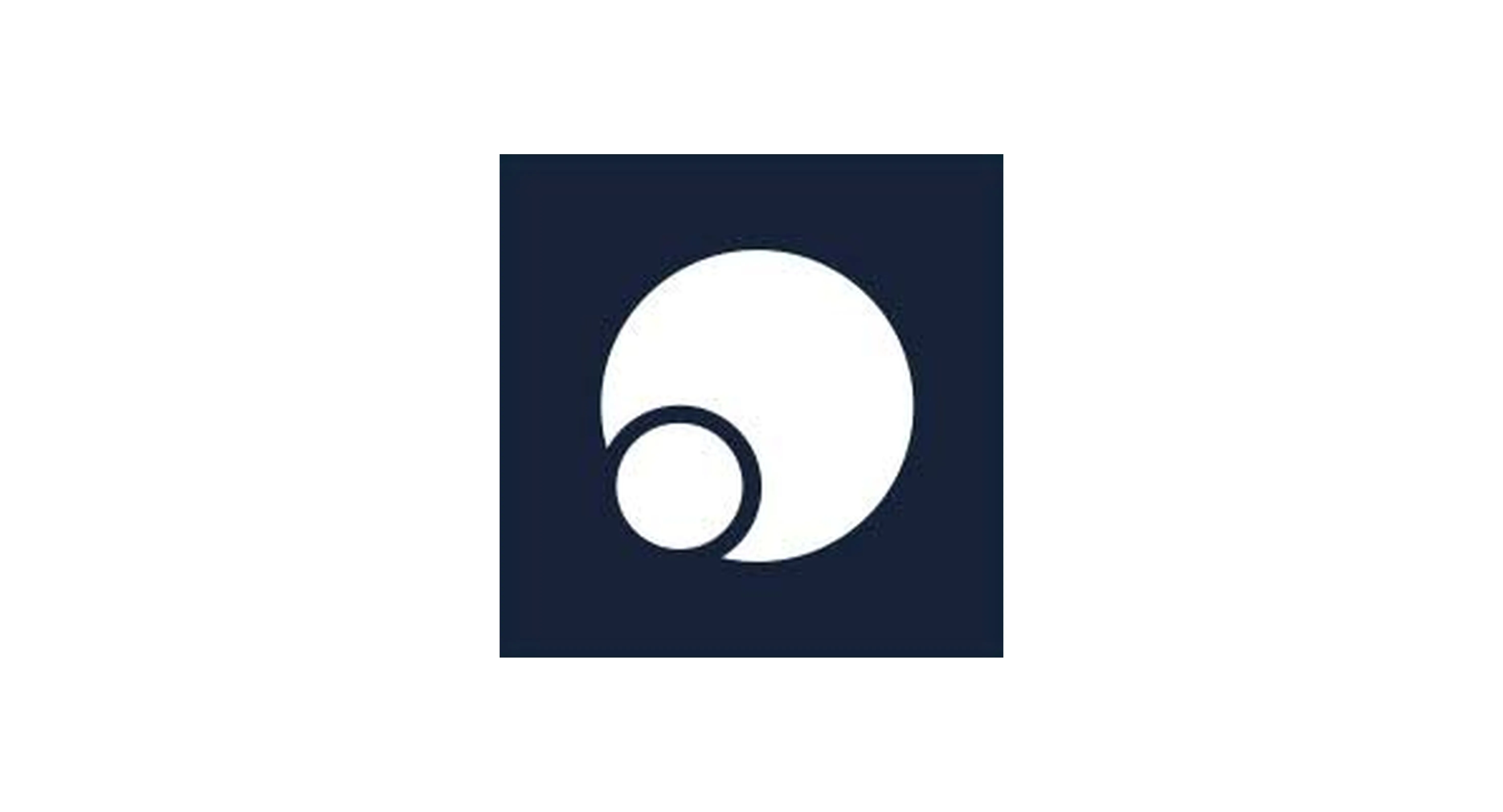 Worldbi Business Partner