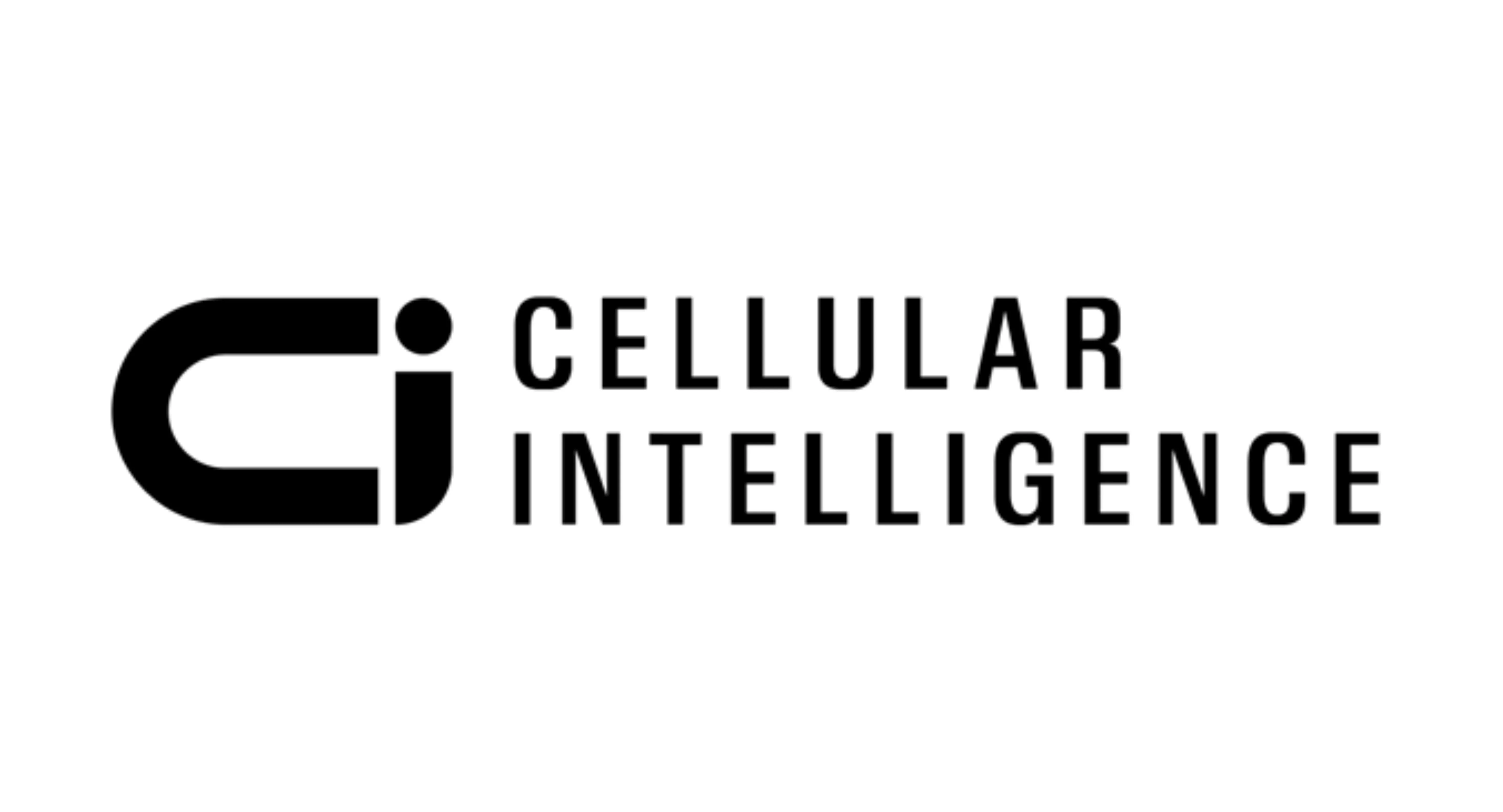 Worldbi Business Partner